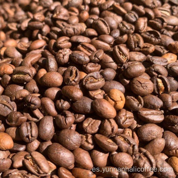 Granos de café Aurora brillante